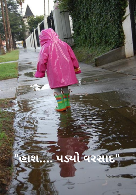 હાશ, પડ્યો વરસાદ