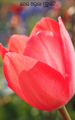 ସେଇ ଅଭୂଲା ମୁହୁର୍ତ୍ତଟି