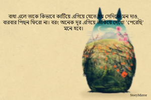 বাধা এলে তাকে কিভাবে কাটিয়ে এগিয়ে যেতে হয় সেদিকে মন দাও, বারবার পিছন ফিরো না। বরং অনেক দূর এগিয়ে তাকিয়ে দেখো 'পেরেছি' মনে হবে।