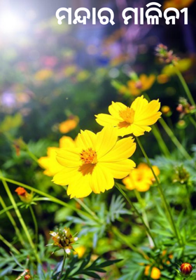 ମନ୍ଦାର ମାଳିନୀ