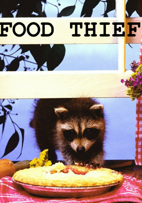 Food Thief