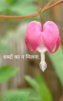 शब्दों का न मिलना