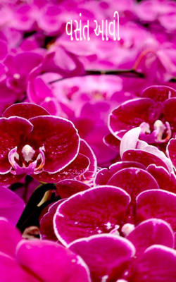 વસંત આવી