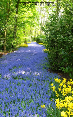 सजली नवी ही पहाट..