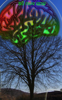 ଅତି ମାନବ ସମାଜ