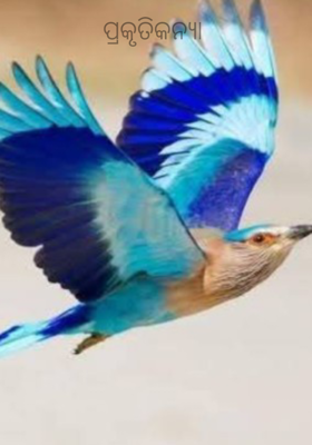 ପ୍ରକୃତିକନ୍ୟା 