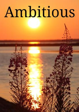 Ambitious Life