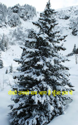 रोको उनको सब आग है धुँआ हम थे