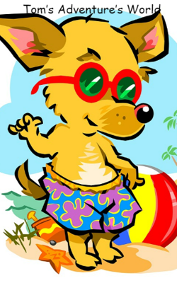 Tom’s Adventure’s World