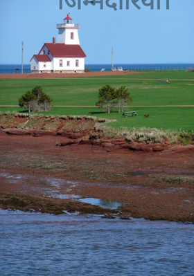 जिम्मेदारियां।