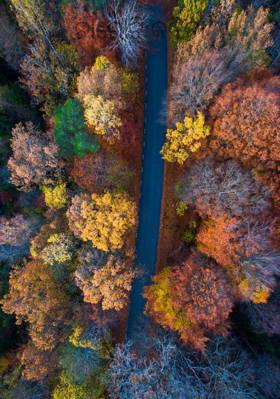 ଚାରୋଟି କବିତା