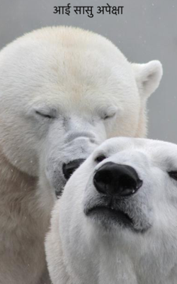 आई सासु अपेक्षा