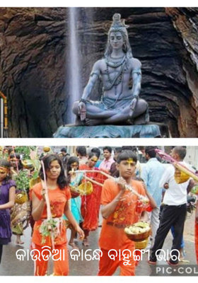 କାଉଡିଆ କାନ୍ଧେ ବାହୁଙ୍ଗୀ ଭାର