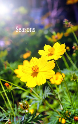 Seasons