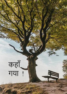 कहाँ  गया  !