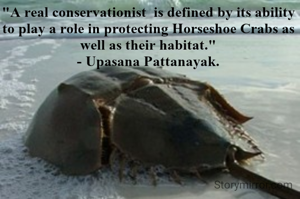 "A real conservationist  is defined by its ability to play a role in protecting Horseshoe Crabs as well as their habitat."
- Upasana Pattanayak.