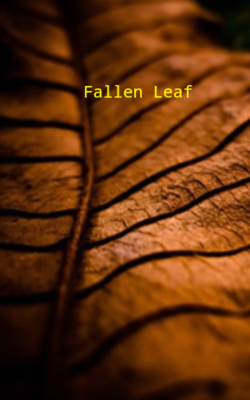 Fallen Leaf