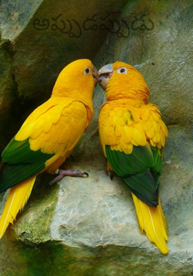 అప్పుడప్పుడు