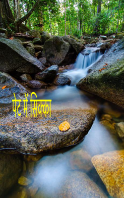 पेट में सिक्का