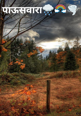 पाऊसवारा🌧️🌈🌪️