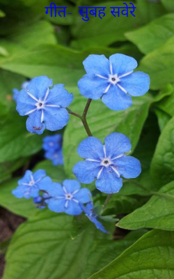 गीत- सुबह सवेरे