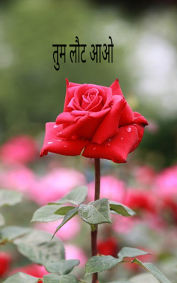 तुम लौट आओ