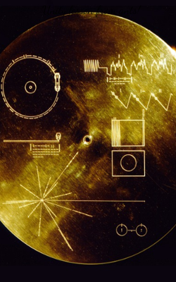 Unity: Lesson From Ants!