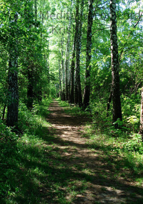 Yoga - Meditation on Lord Krishna