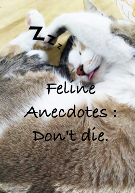 Feline Anecdotes: Don't Die