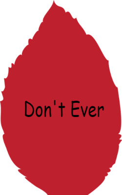 Don't Ever
