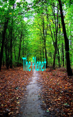 The Planet