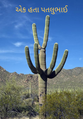 એક હતા પતલુભાઈ
