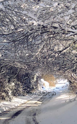 திருமந்திரம்