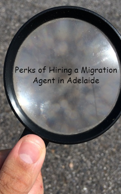 Perks of Hiring a Migration Agent in Adelaide