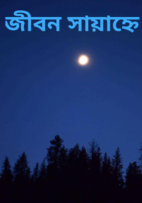 জীবন সায়াহ্নে