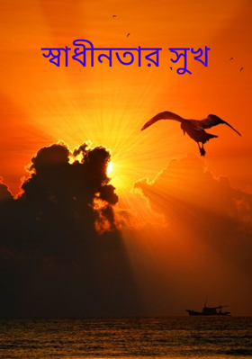 স্বাধীনতার সুখ