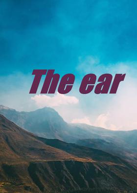 The Ear