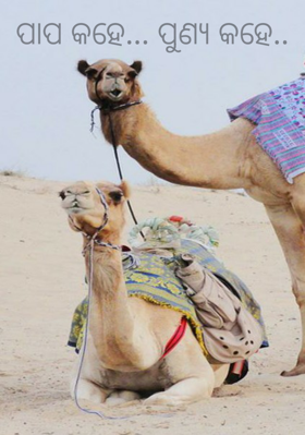 ପାପ କହେ ପୁଣ୍ୟ କହେ