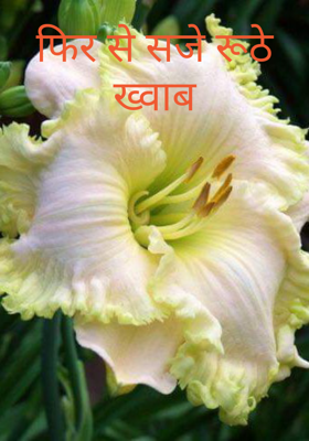 फिर से सजे रूठे ख्वाब