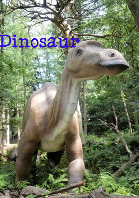 Dinosaur