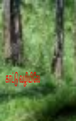 காட்டு வழியிலே