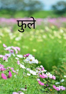 फुले