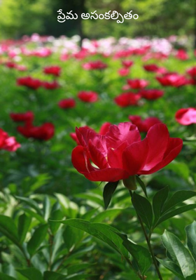 ప్రేమ అసంకల్పితం