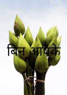 बिन आपके