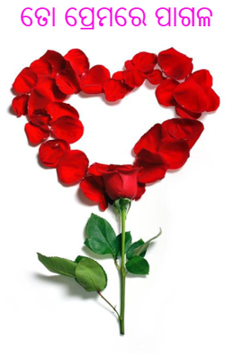 ତୋ ପ୍ରେମରେ ପାଗଳ