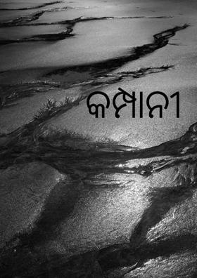 କମ୍ପାନୀ