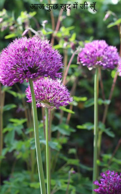 आज कुछ खुद में जी लूँ