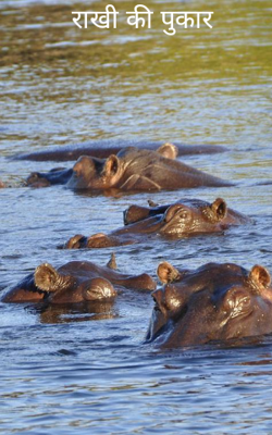 राखी की पुकार