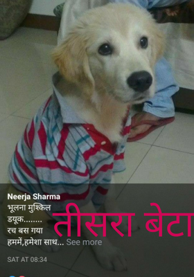 तीसरा बेटा