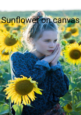 Sunflower On Canvas